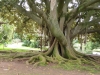 2023 Jardín Botánico de la Universidad de Coímbra, Portugal