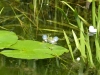 2023 Botanischer Garten Erlangen, Duitsland