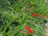 2007 Les jardins de Claude Monet, Giverny, Frankrijk