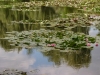 2007 Les jardins de Claude Monet, Giverny, Frankrijk