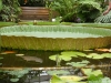 2024 Hortus Botanicus Leiden