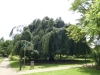 2024 Hortus Botanicus Leiden