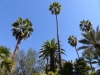 2014 Jardin Majorelle Marrakech Marokko