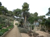 2024 Jardi Botanic de Cap Roig, Calella de Palafrugell Spanje