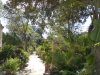 2020 Argotti Botanic Gardens Valletta Malta