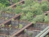 Landschaftspark Duisburg, Duitsland