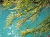 Blautopf, Blaubeuren